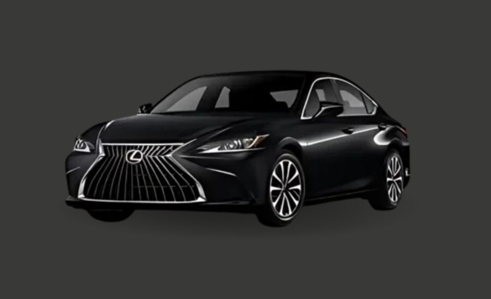 lexux ES300